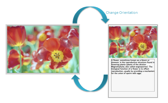 image/interface_layout/tool_change_orientation.png